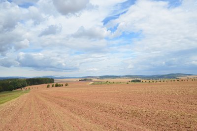 Pole u Božanovského vrchu - naleziště karneolů.