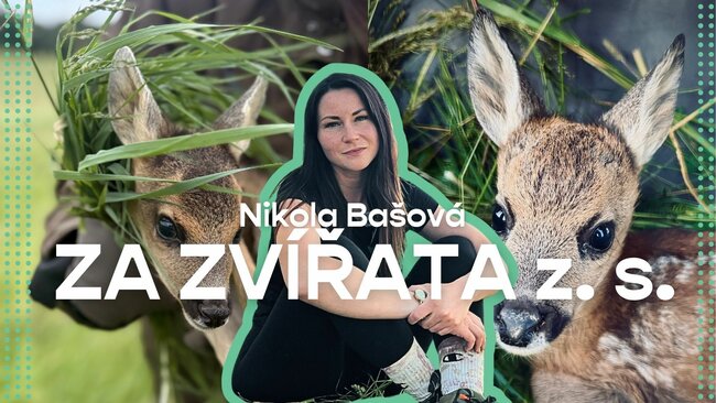 Nikola Bašová: Žádné zvíře si nezaslouží takto zemřít