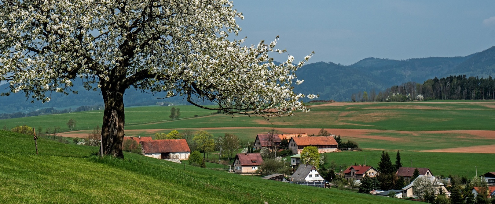 Hejtmánkovice
