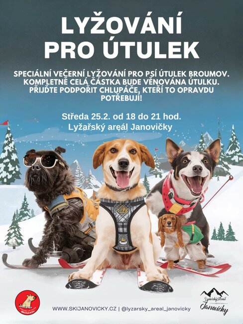 Lyžování pro útulek