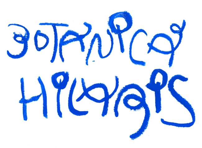 BOTANICA HILARIS - Václav Matoušek Bill the Hobo